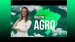 Boletim Agro - Invernada prejudica semeadura da soja no Centro Oeste