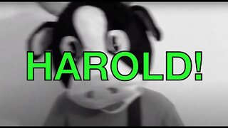 Happy Birthday HAROLD! - COW Happy Birthday Song