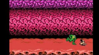 Battletoads NES Gameplay Demo