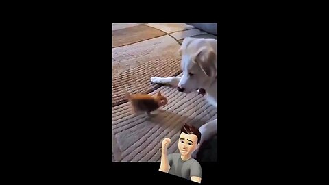 Naughty cat messing with a dog