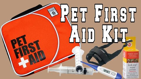 What You Should Have In A Pet First-Aid Kit (And Why)