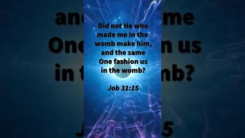ALIVE IN THE WOMB! | MEMORIZE HIS VERSES TODAY | Job 31:15