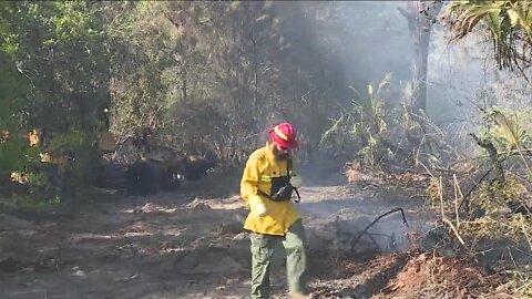 Florida Forest Service Preparing For What Could Be Active Fire Season
