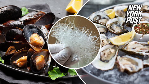 'Disturbing' high levels of fiberglass found in oysters and mussels for the first time