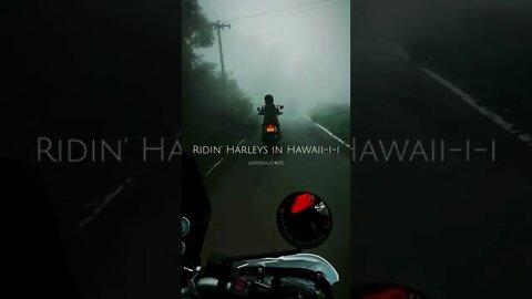Harleys in Hawaii | Katy Perry | Aesthetic Video | WhatsApp Status | 9:15 | ♥️