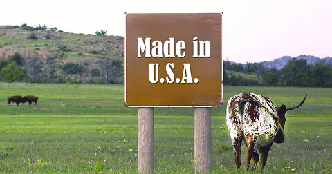Cows Made in U.S.A.