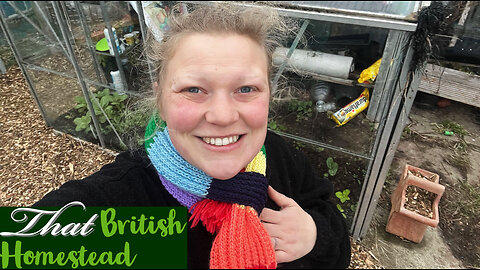 Late Winter Allotment Tour: What's Growing Now?