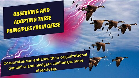 Follow principle of geese | corporate navigate challenges |