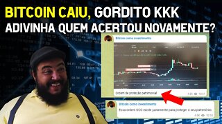 Bitcoin caiu GORDITO KKK🤰🏼