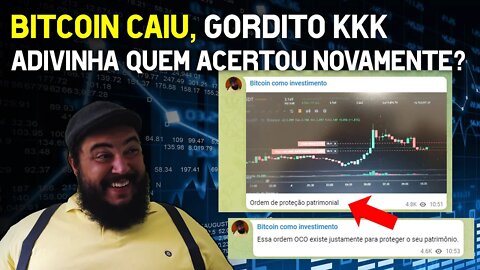 Bitcoin caiu GORDITO KKK🤰🏼