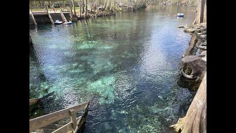 Ginnie Springs , FLORIDA