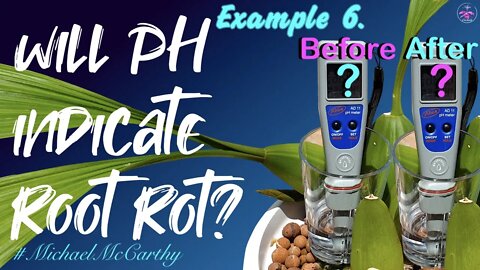 Can pH determine root rot? | Soak pot / measure pH / what does the pH tell us about root health?