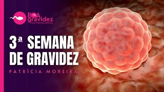 3 SEMANAS DE GRAVIDEZ - Gravidez Semana a Semana com Patrícia Moreira