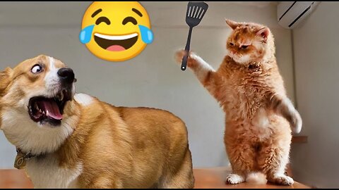 Funniest Animals 2023 😂 Cats and Dogs Videos 🐱🐶