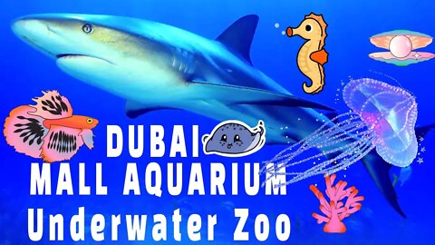 Dubai Mall Aquarium | World Biggest Aquarium | Penguin Encounter | துபாய் மால் அக்வாரியம் ஜூ