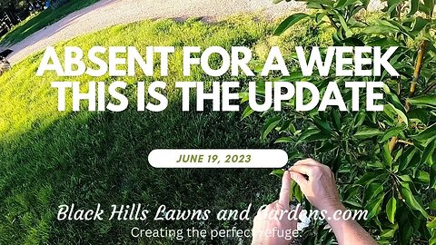 Updates, overgrown weeds and some fast work 6/19/23