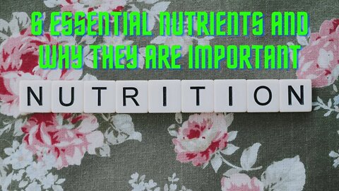 6 Essential Nutrients and Why They are Important