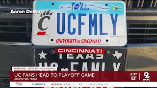 UC fans get ready to head to Texas for the Cotton Bowl