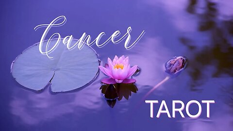 CANCER NOVEMBER 2023 TAROT ♋️ STARTING A NEW ENDEAVOR! ⛵️ #cancer #tarot #oracle