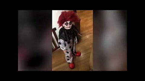 Funny Pets Getting Scared Of Halloween - Funny Compilation Of Pets Disliking Halloween