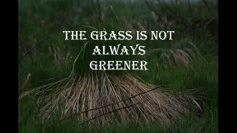 The Grass Isn't Always Greener