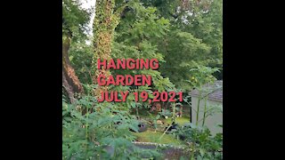 HANGING GARDEN JULY 19,2021