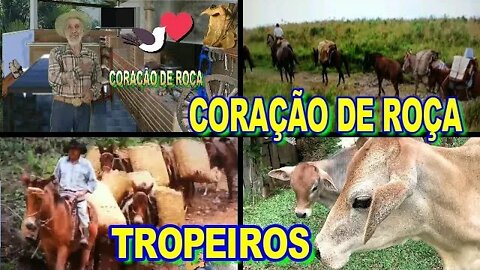 CORAÇÃO DE ROÇA EM HOMENAGEM AOS TROPEIROS