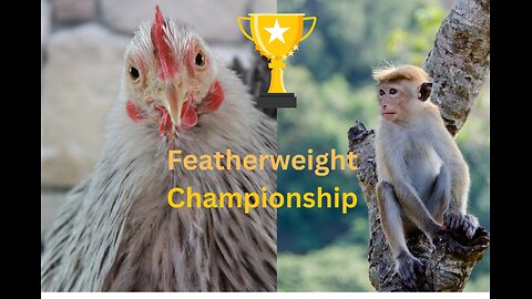"Featherweight Championship: Baby Monkey vs. Hen Hilarity!"