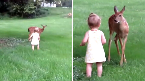Fawn and Baby