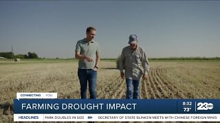 Drought impact on farming