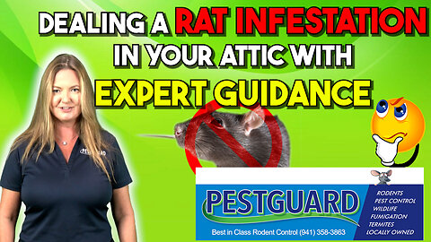 🏠🚫 PestGuard's Pest-Free Attic Paradise: Unveiling the Secret to Florida's Critter-Free Haven! 🌴🐀