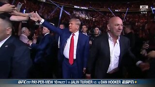 UFC Crowd Goes Wild For Trump As He High Fives Fans