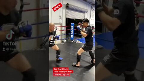 Jab Right Kick into an Outside Leg Trip