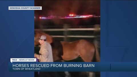 Homeowners save horses from burning barn in Kenosha County