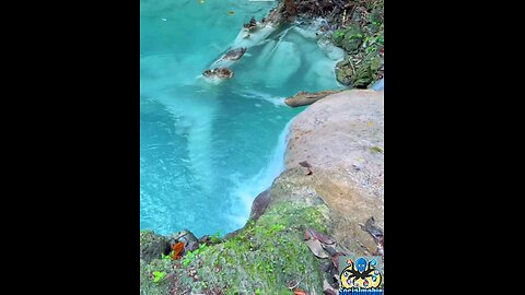 Twin sister River, Portland, Jamaica 🇯🇲 Music: With You In The Morning Musician: Carl Storm