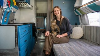 Solo Female Living in a Van for 2 years with a Cat 🚐🐈 Dodge Class B van tour.