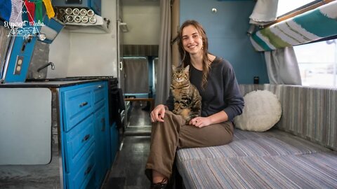 Solo Female Living in a Van for 2 years with a Cat 🚐🐈 Dodge Class B van tour.