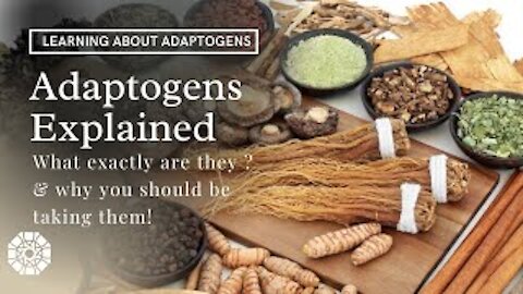 What are adaptogens? Adaptogens Explained | Best type of adaptogens for you