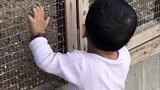 ￼ Adorable baby ￼playing with birds