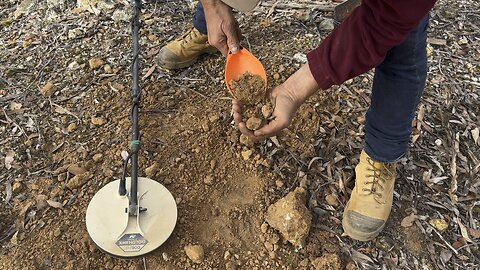 Minelab GPX6000 Finding Gold