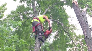 Pulaski residents continue cleanup after Wednesday's storm