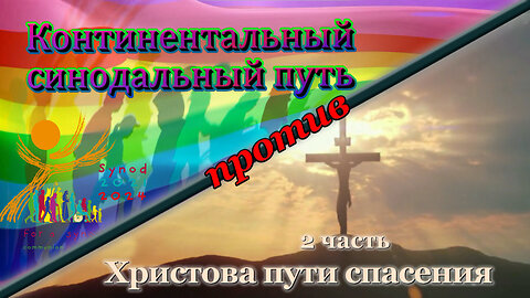 ВВП: Континентальный синодальный путь против Христова пути спасения /2 часть/