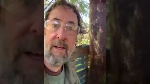 Daily Video TSF Pee on a Tree