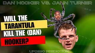 Jalin ,,The Tarantula,, Turner vs. Dan Hooker - Official Prediction