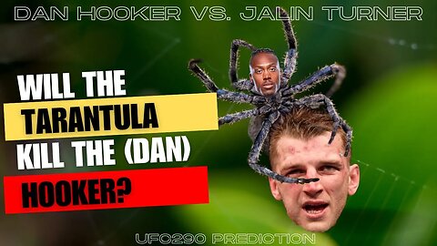 Jalin ,,The Tarantula,, Turner vs. Dan Hooker - Official Prediction
