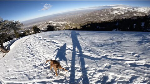 Skiing Grandview Peak With Apollo