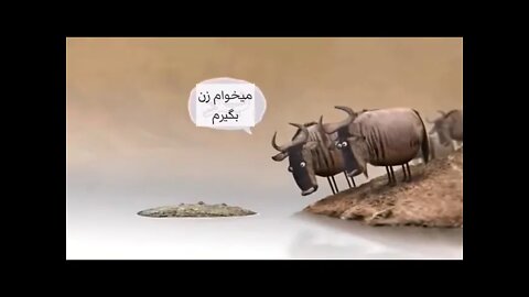 ازدواج ایرانی...