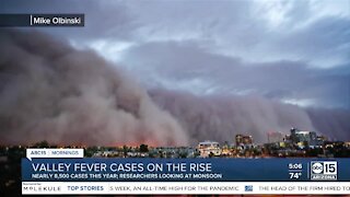 Valley fever cases on the rise in Arizona