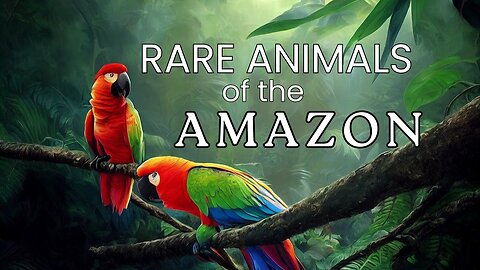 Amazon Rainforest: Wildlife of the Jungle