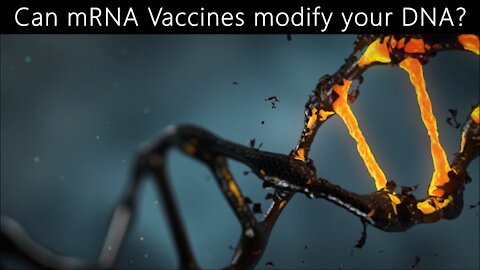 Can mRNA Vaccines modify your DNA?